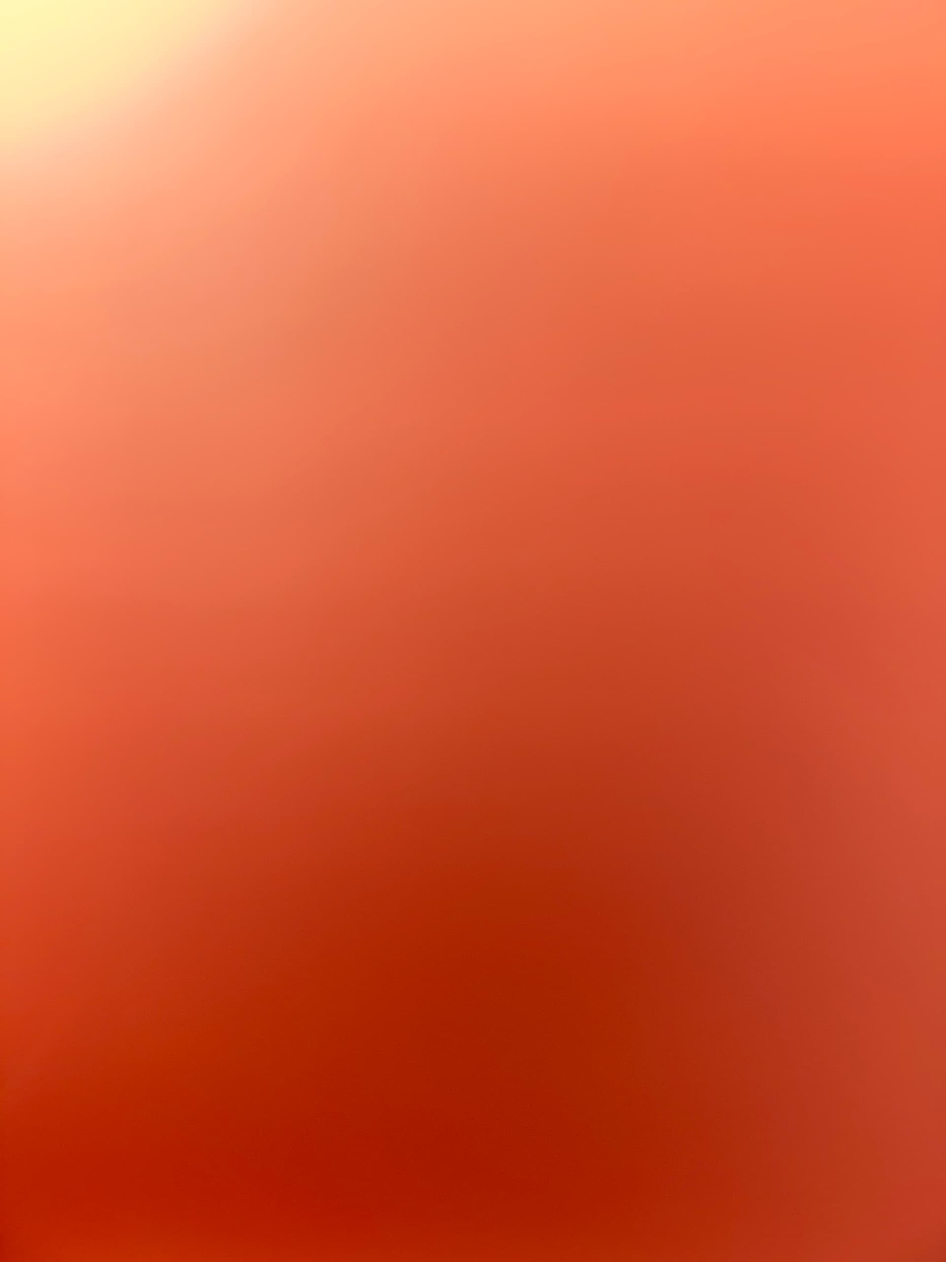 2022 TM TM2222 Updated 2